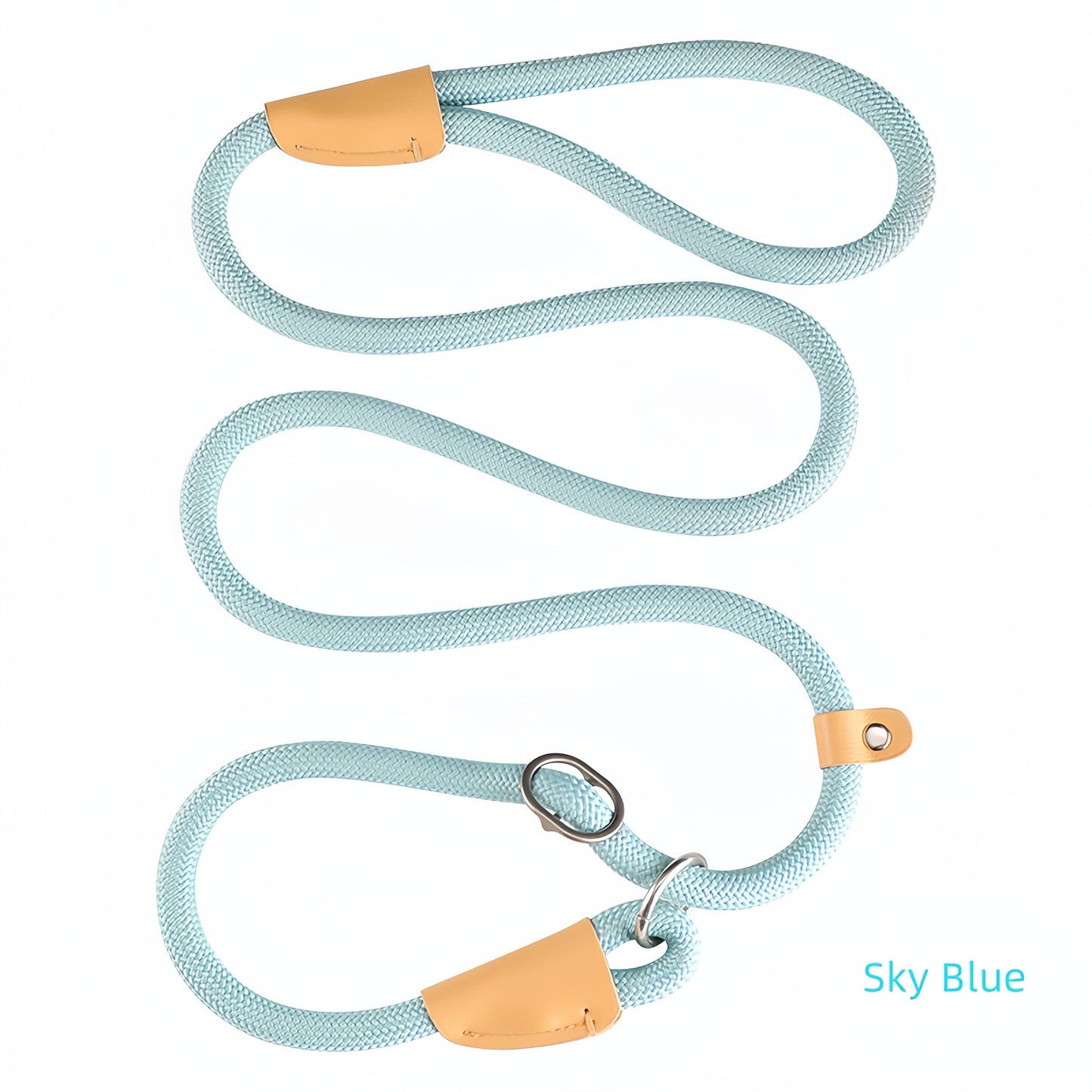 All-in-One Dog Leash with P-Chain