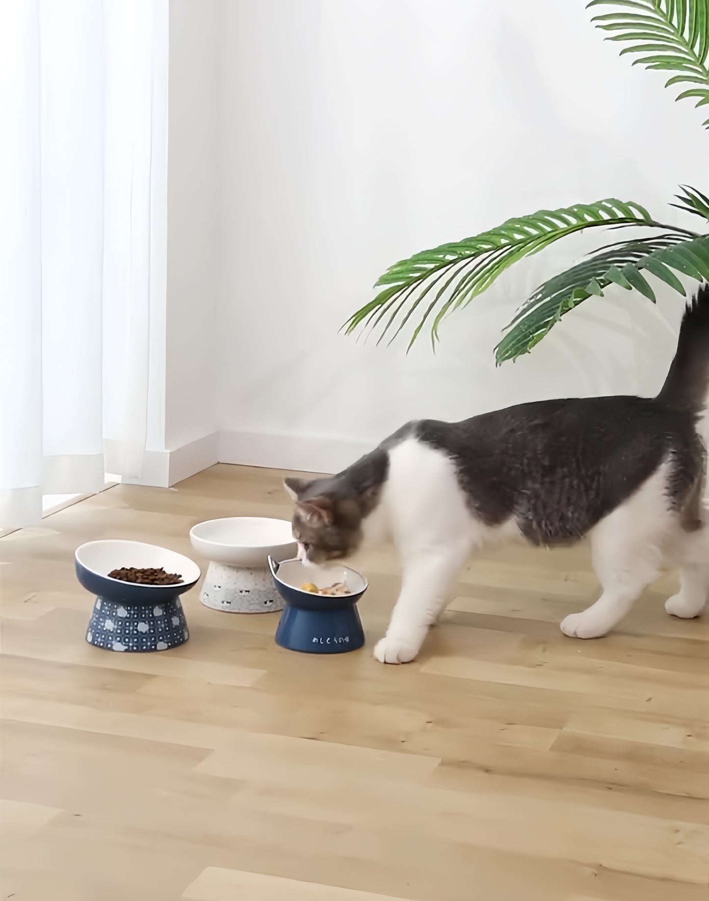 Ceramic Elevated Bowl for Cats and Dogs