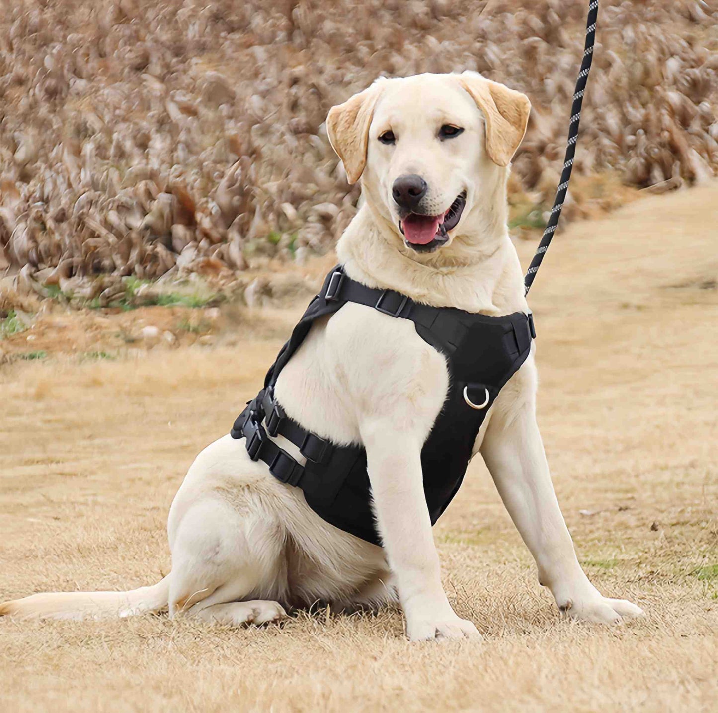 Tactical Vest for Large Dogs, Water Resistant, Dog Chest Harness