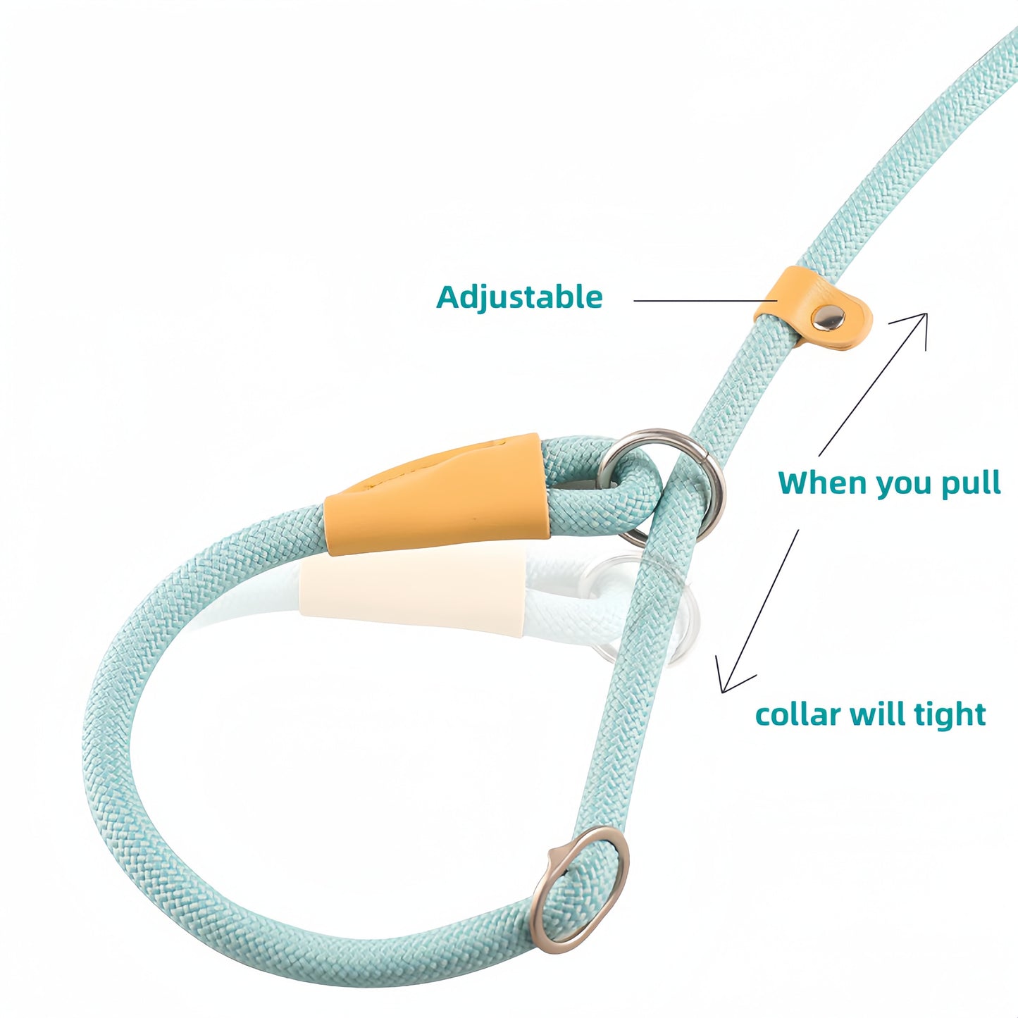 All-in-One Dog Leash with P-Chain