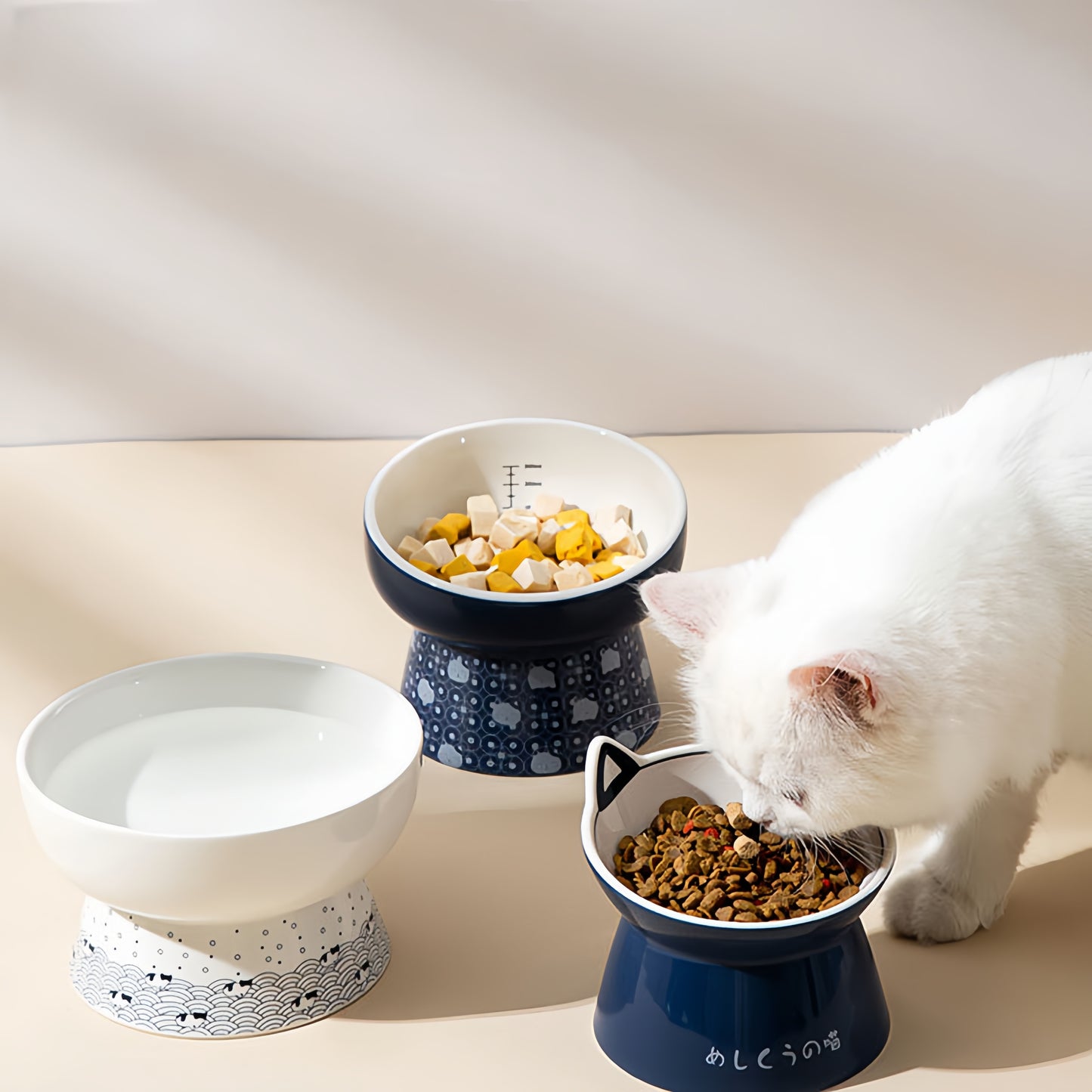 Ceramic Elevated Bowl for Cats and Dogs