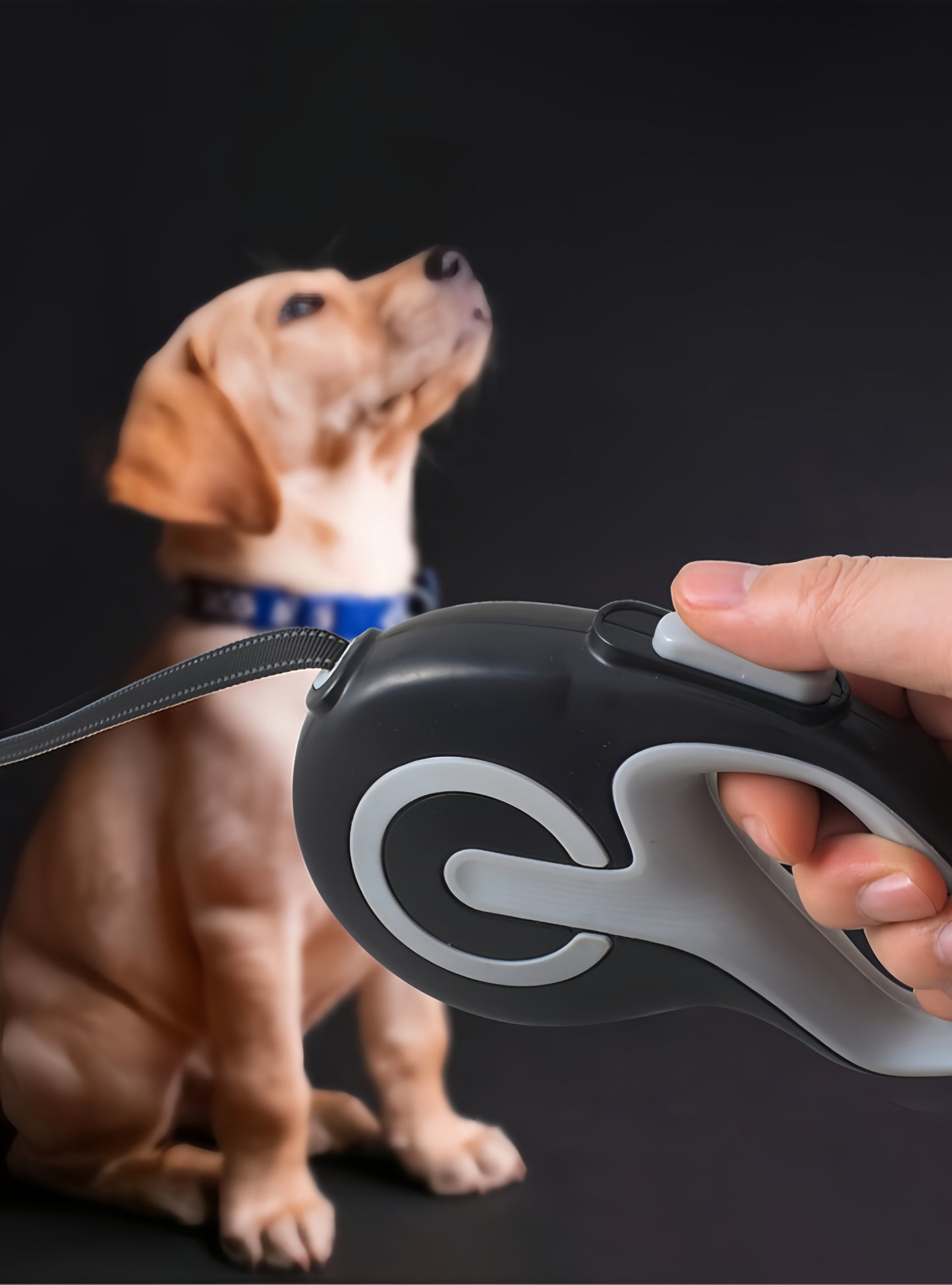 Large Automatic Retractable Walking Leash-16ft Strong Nylon Tape-Up to 26lbs Dog-One-Handed Brake, Pause, Lock