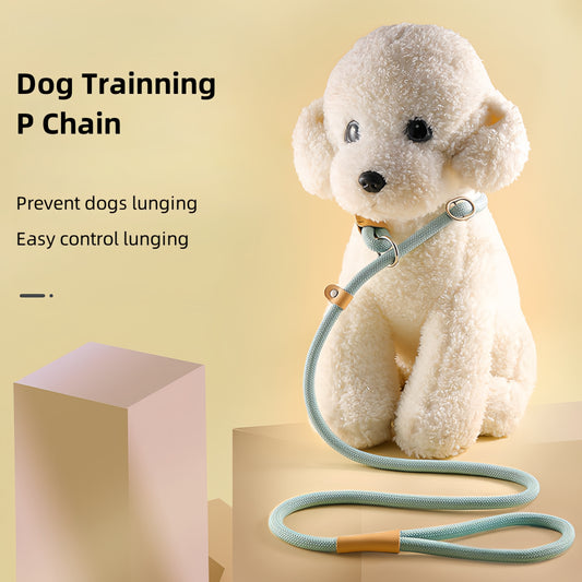 All-in-One Dog Leash with P-Chain