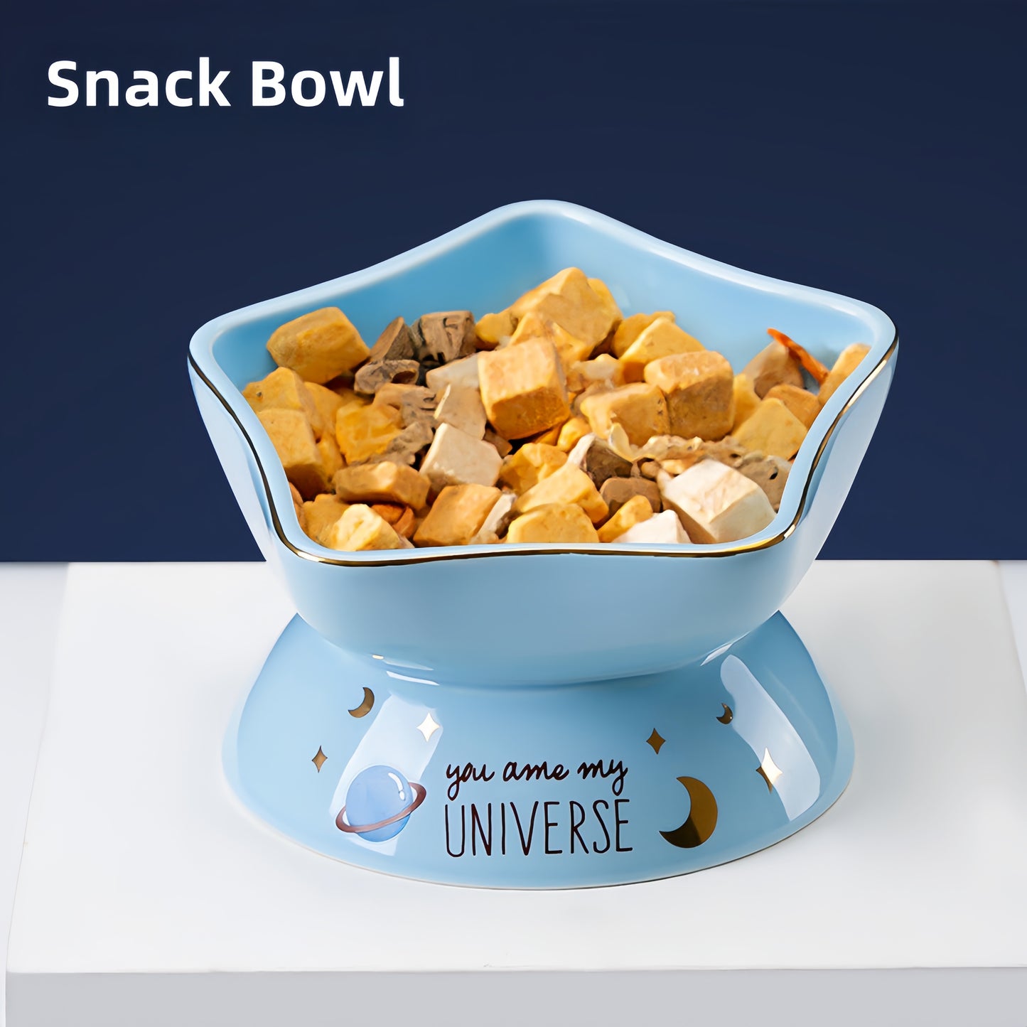 Ceramic Elevated Bowl for Cats and Dogs